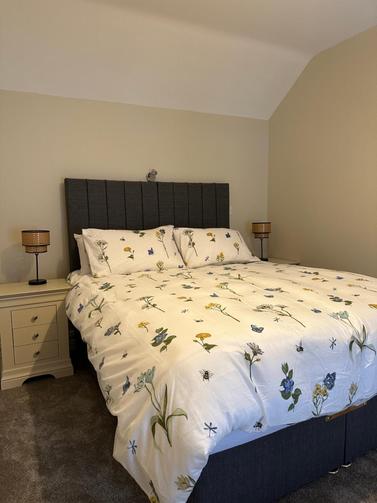 Adams Complex Appartement Tullamore Buitenkant foto